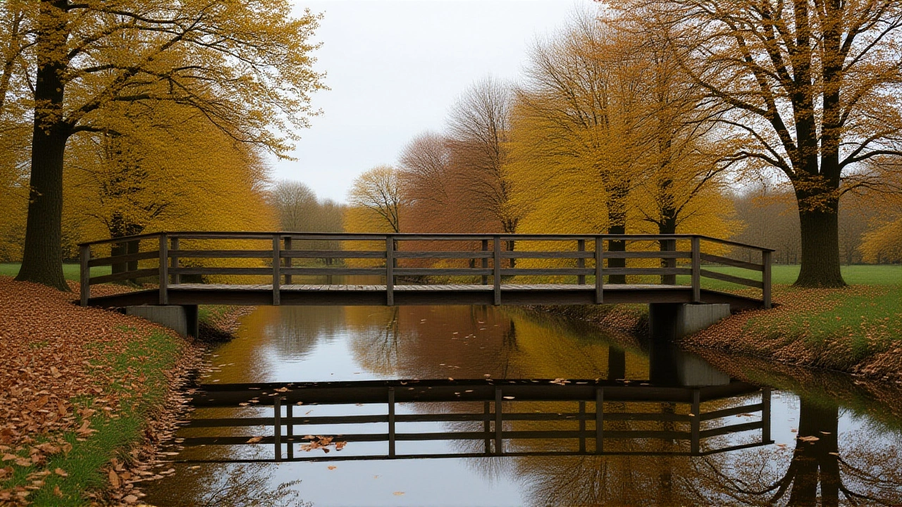 Helmhorst: gratis wandeling door de groene parel tussen Berkum en Isala